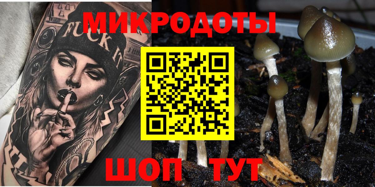Можга  Псилоцибиновые грибы GOLDEN TEACHER  Вход с VPN 