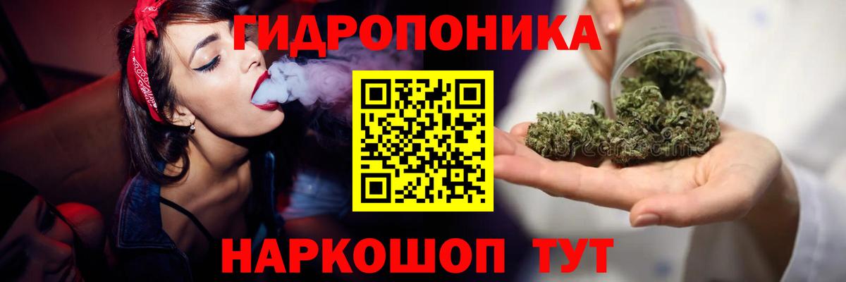 Можга  Конопля планчик  Бошки марихуана OG Kush  Вход с VPN 
